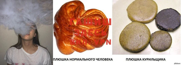 сатива Арсеньев