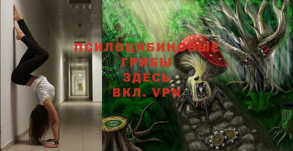 ALPHA PVP Аркадак