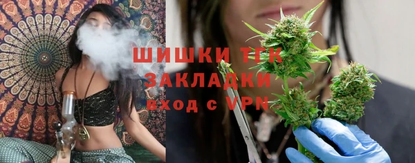 сатива Арсеньев