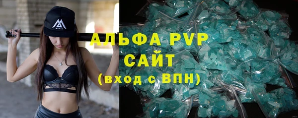 сатива Арсеньев