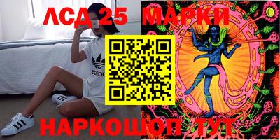эйфоретик Малгобек