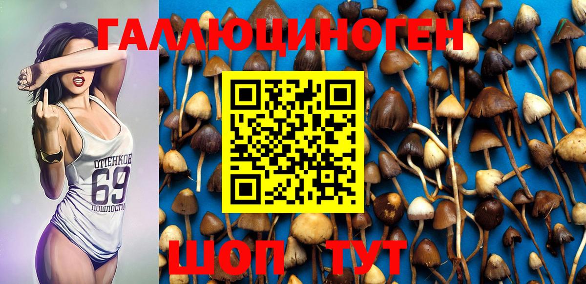 Псилоцибиновые грибы мухоморы Борзя