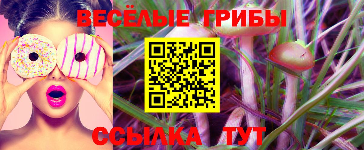 Псилоцибиновые грибы Psilocybe  Вход с VPN  Галлюциногенные грибы Psilocybine cubensis  Борзя 
